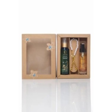 Illustration vectorielle Ours brun