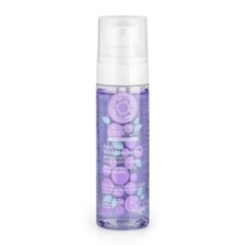 NATURA SIBERICA BLUEBERRY PROFESSIONAL ANTI OX WILD BLUEBERRYBRUME TONIFIANTE HYDRATANTE 100ML