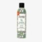 ZYNIA SHAMPOING ORTIE EFFET VOLUME CHEVEUX NORMAUX À GRAS 250ML ZYNIA SHAMPOING ORTIE EFFET VOLUME CHEVEUX NORMAUX À GRAS 250ML