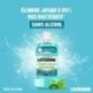LISTERINE FRAÎCHEUR GOÛT PLUS LÉGER BAIN DE BOUCHE 250 ML LISTERINE FRAÎCHEUR GOÛT PLUS LÉGER BAIN DE BOUCHE 250 ML