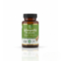 THERAPIA ASHWAGANDHA BOITE DE 60 GELULES THERAPIA ASHWAGANDHA BOITE DE 60 GELULES