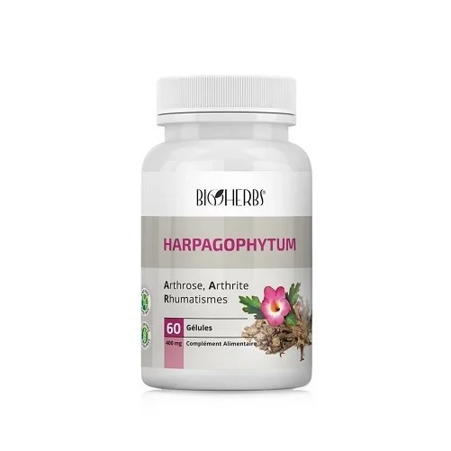 HARPAGOPHYTUM 400 MG  60 GÉLULES
