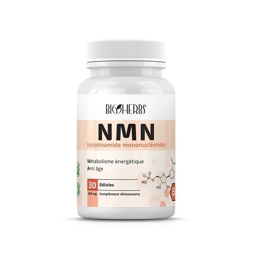 NMN NICOTINAMIDE MONONUCLEOTIDE 60 GÉLULES