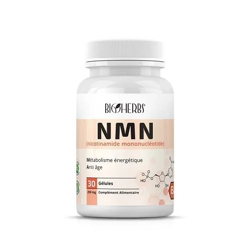 NMN NICOTINAMIDE MONONUCLEOTIDE 60 GÉLULES