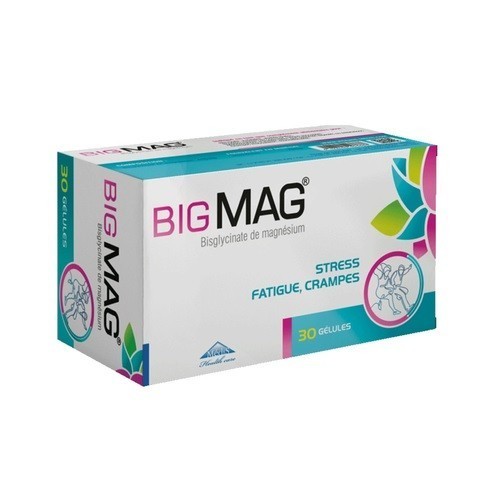 BIGMAG 30 GÉLULES