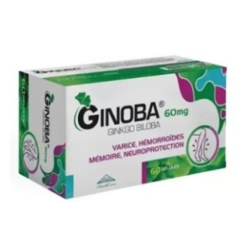 GINOBA 60MG BT60